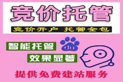 某某sem代运营推广公司经典案例：品牌知名度大增